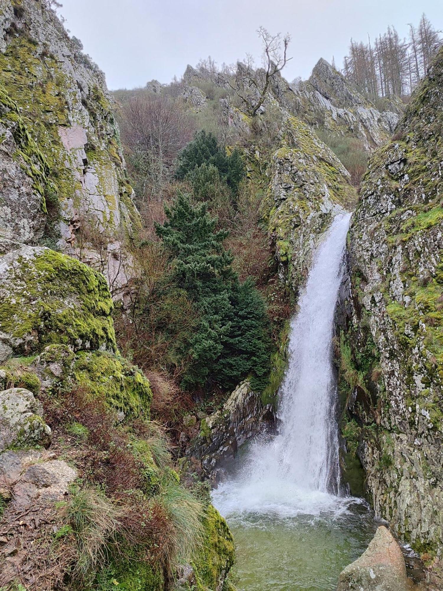 Zelu Apartamento Centro Da Guarda Exteriör bild